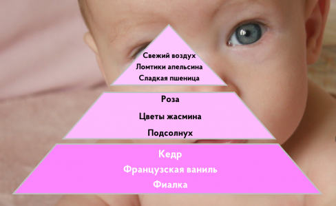 Портфолио