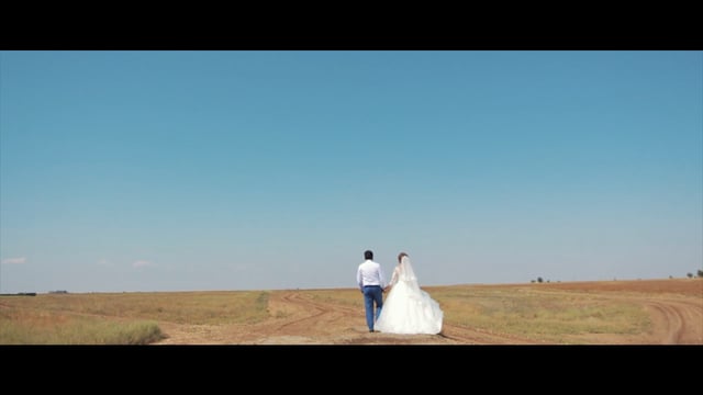 Портфолио: Свадьба