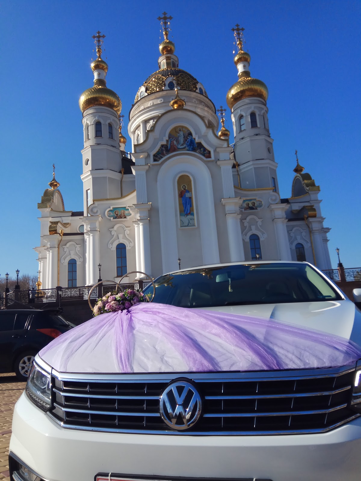 Фотографии