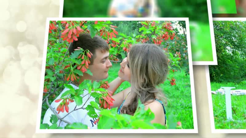 Портфолио: Свадьба