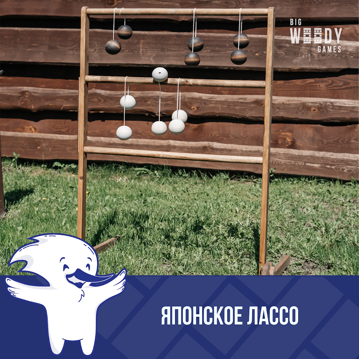 Портфолио