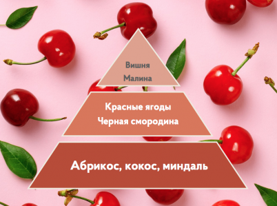 Ароматизация мероприятия