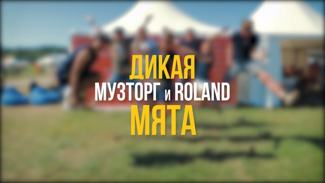 Отчеты