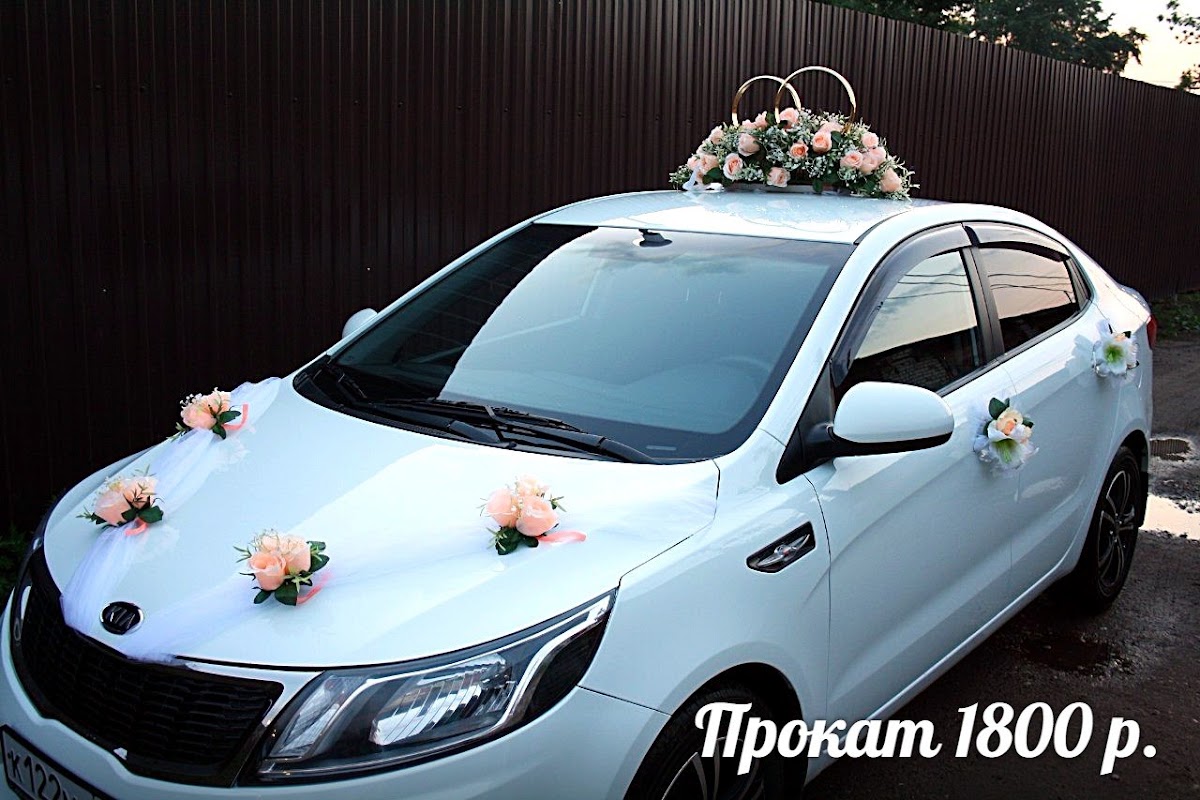 Портфолио