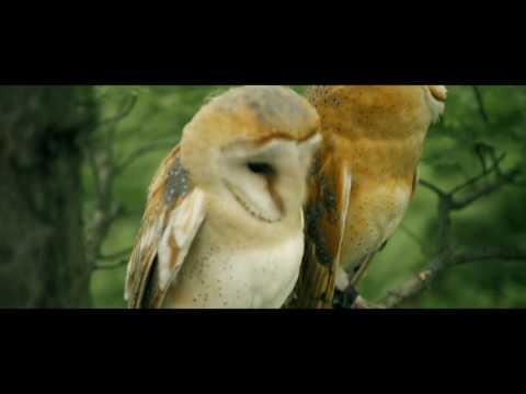 Кадр 92 из 92