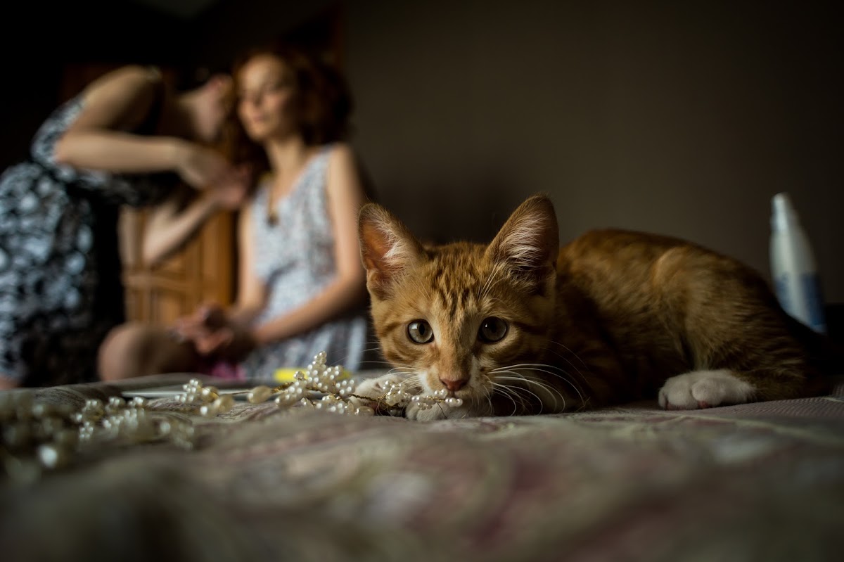 Настя и Олег