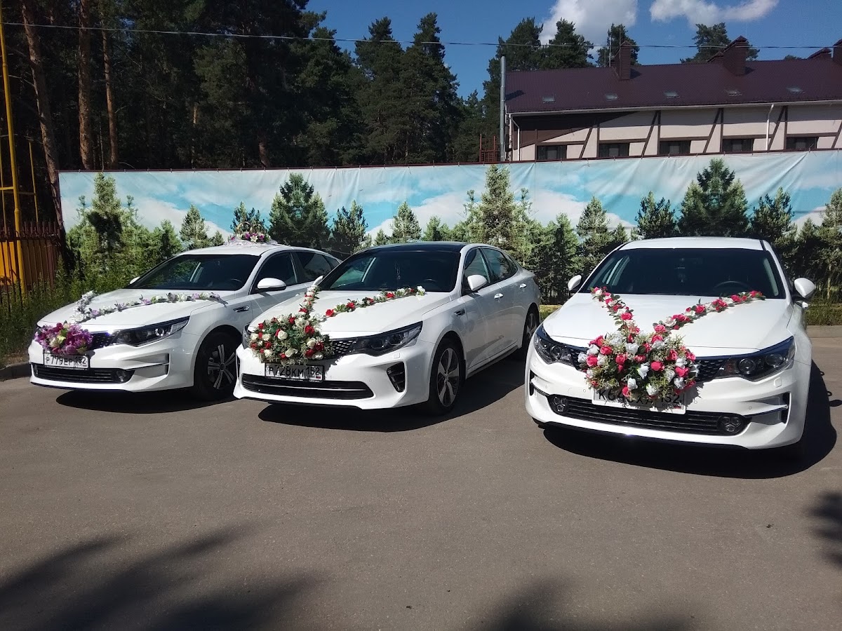 Кадр 61 из 95