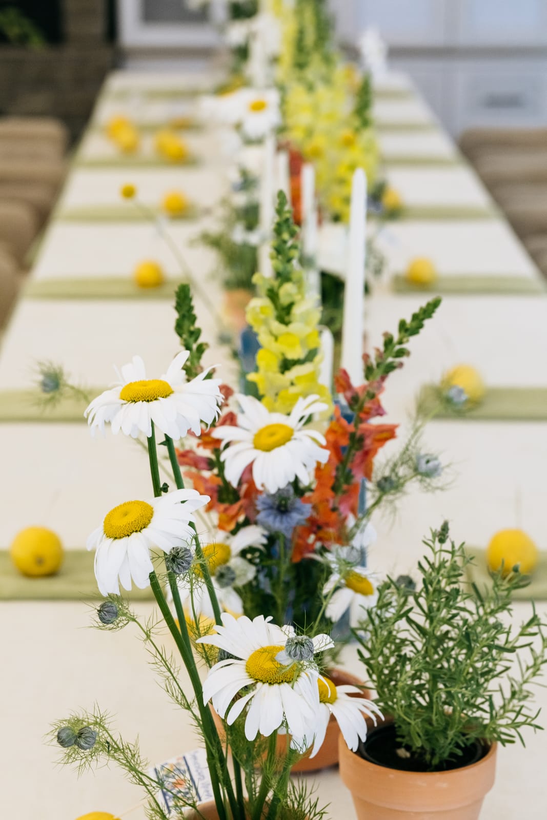 Garden Glass