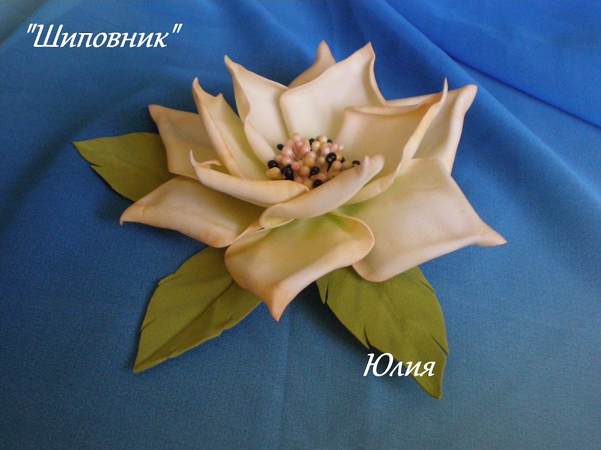 Кадр 50 из 72