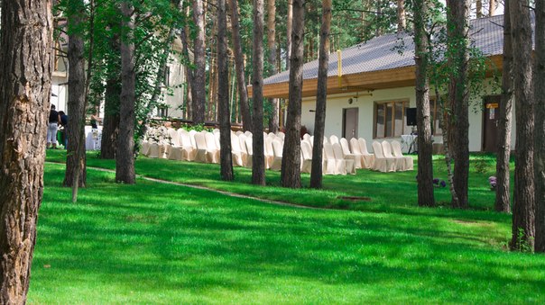 Портфолио: Организация свадьбы