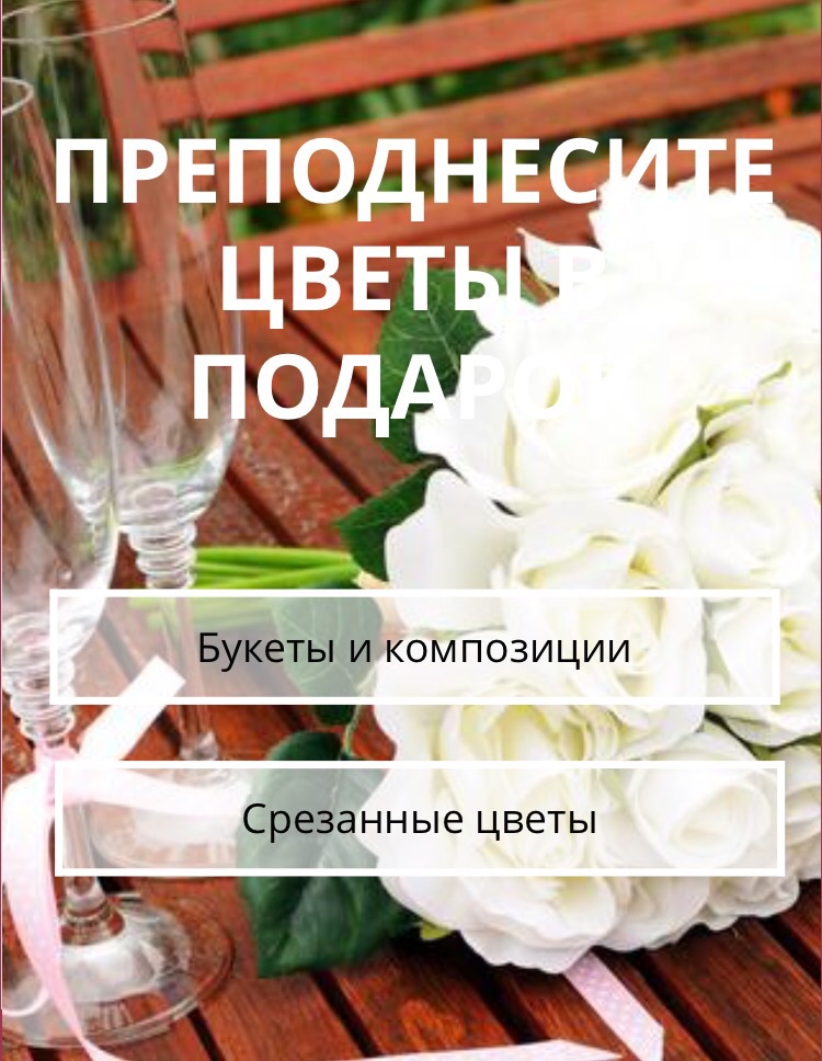 Фотографии