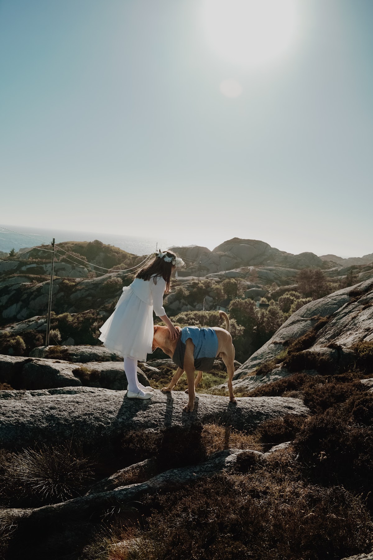 Свадебный отчёт
