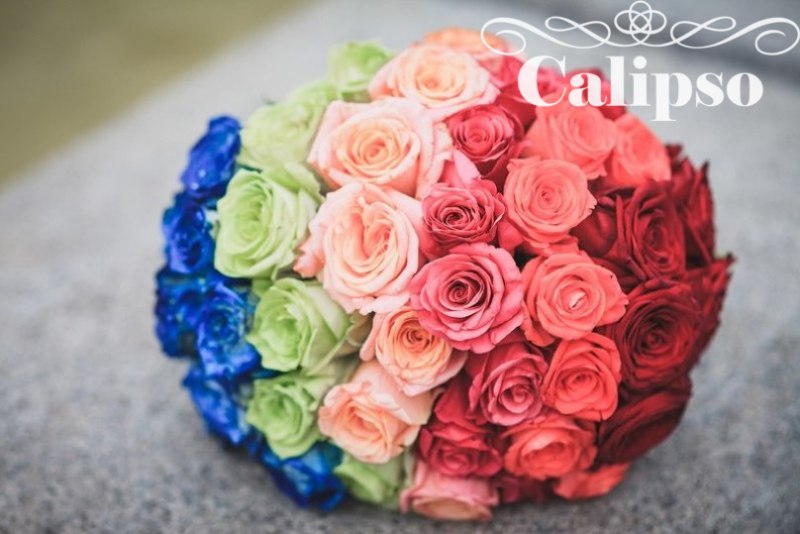 Calipso