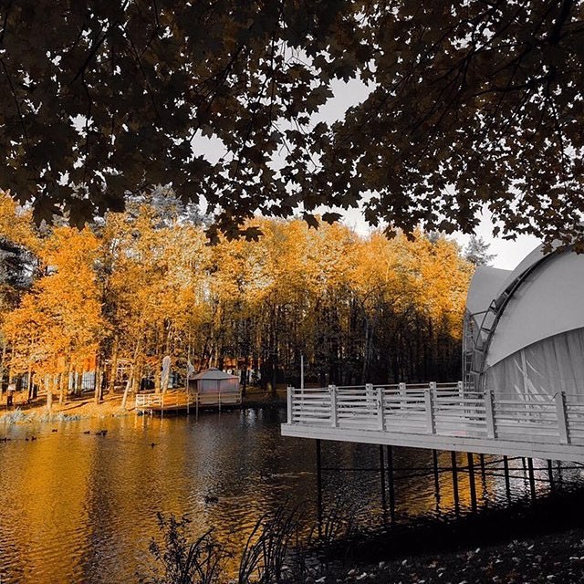 Фотогалерея ресторана