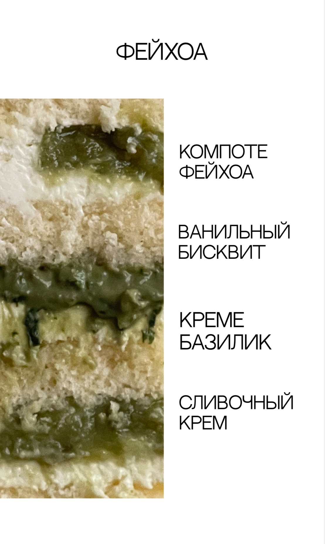 Фотографии