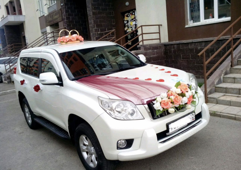 Land cruiser