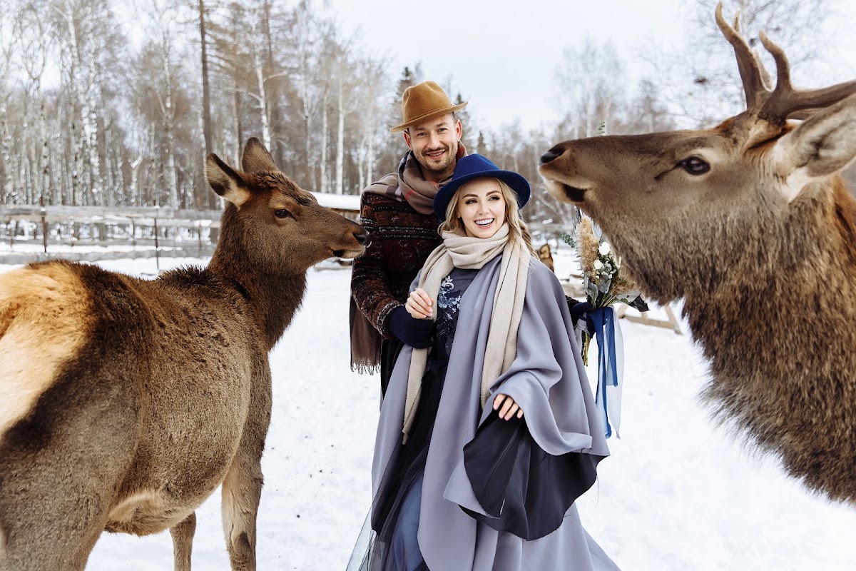 trip to the deer