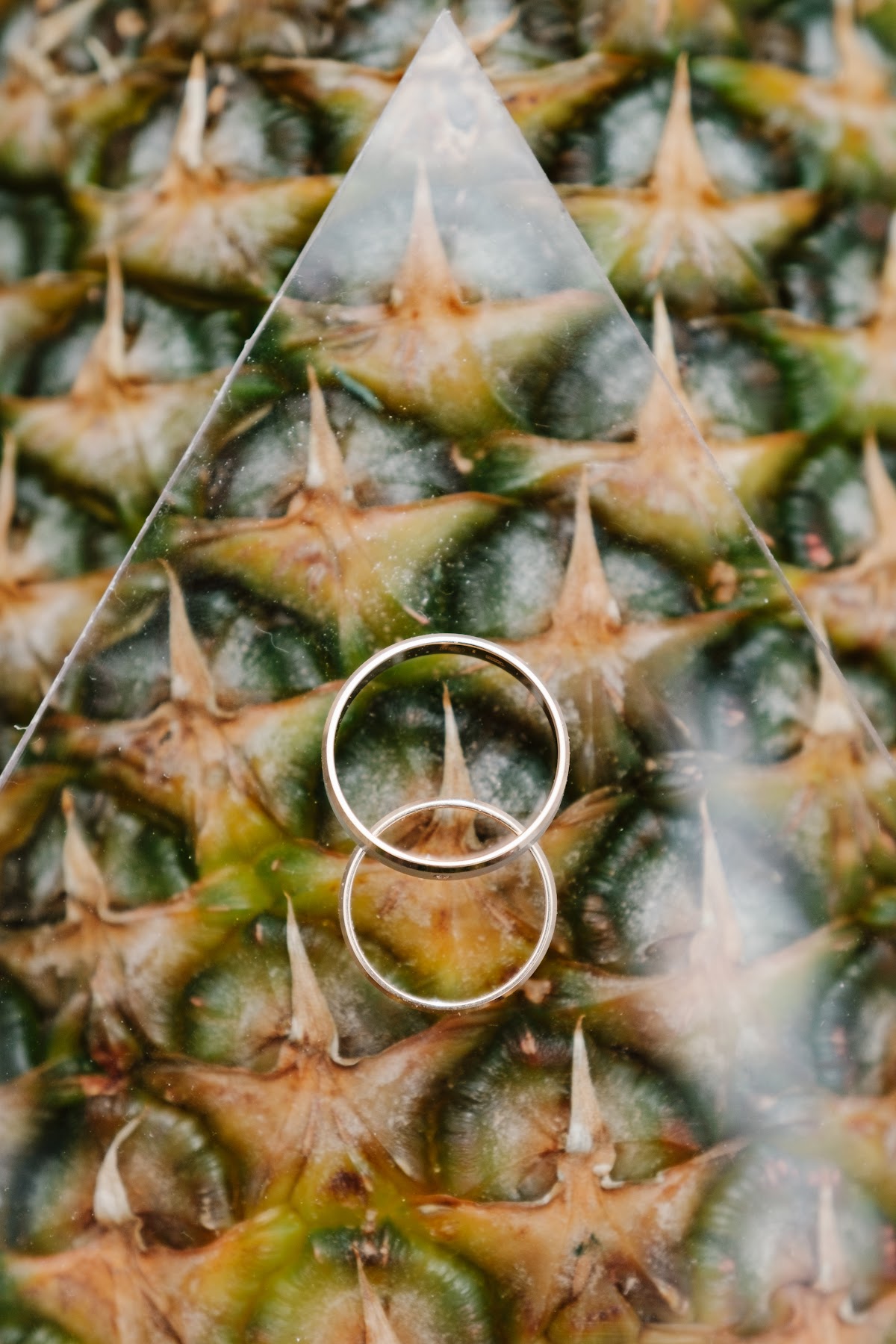 Tropical Wedding