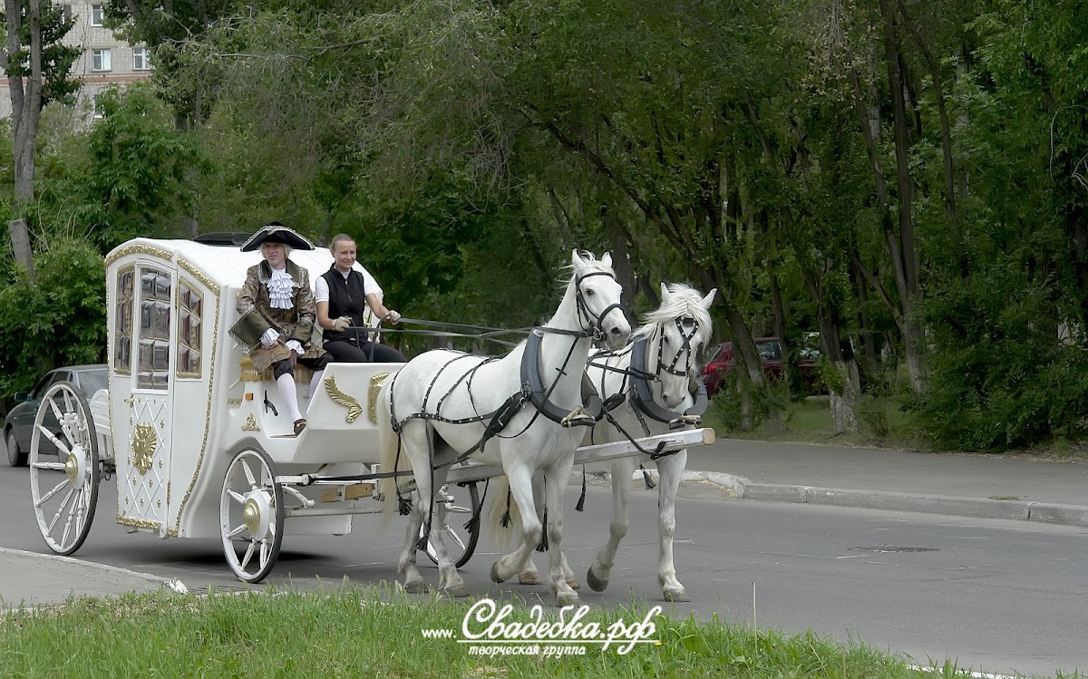 Свадебный отчёт