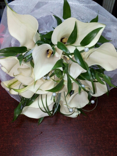 Фотографии