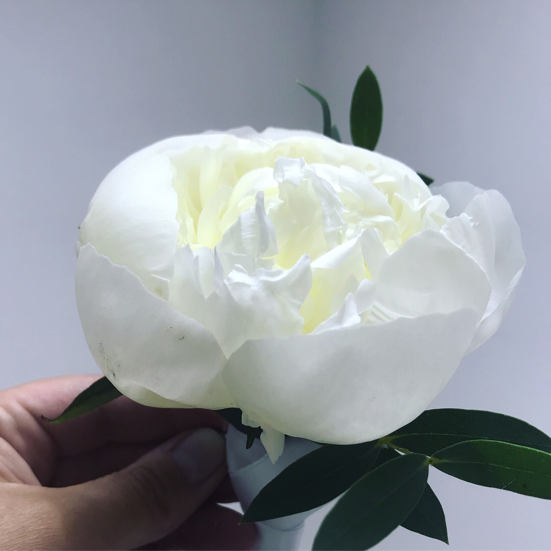 Кадр 64 из 200