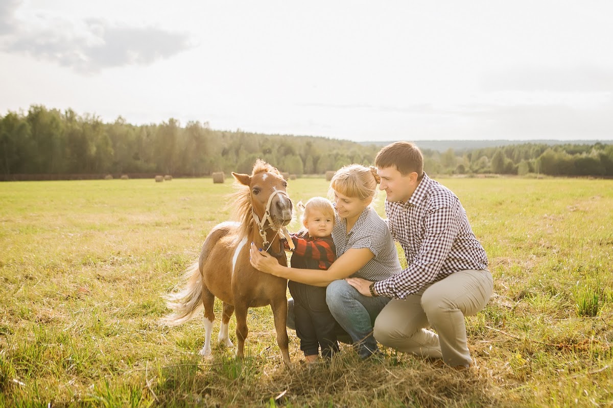 Кадр 39 из 101