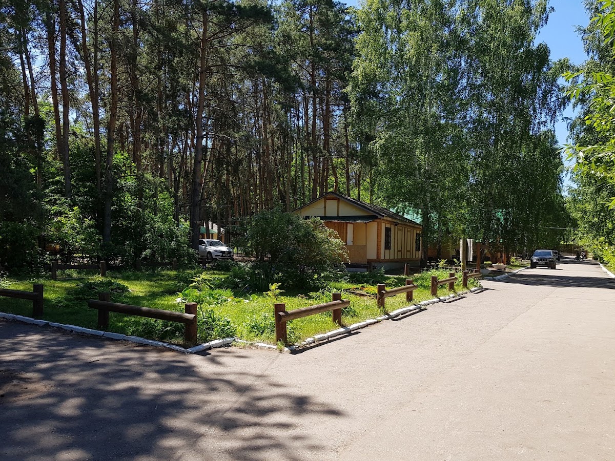 Фотогалерея ресторана