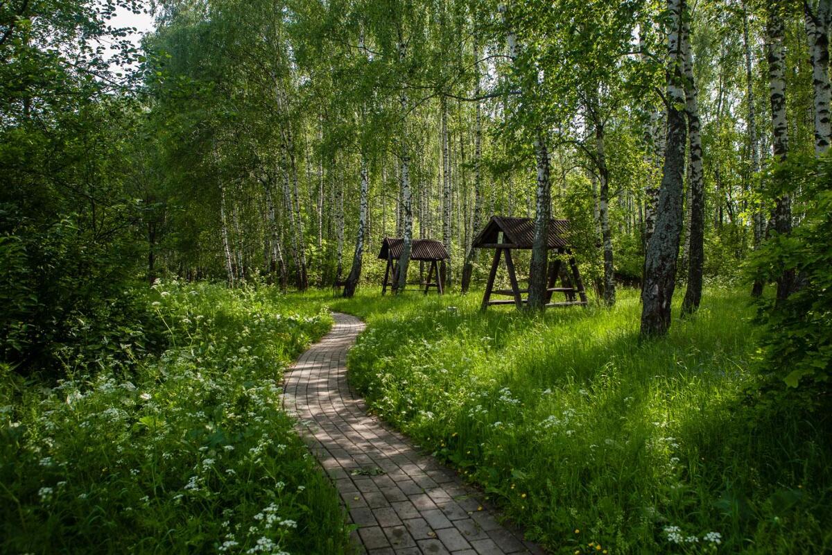Фотогалерея ресторана