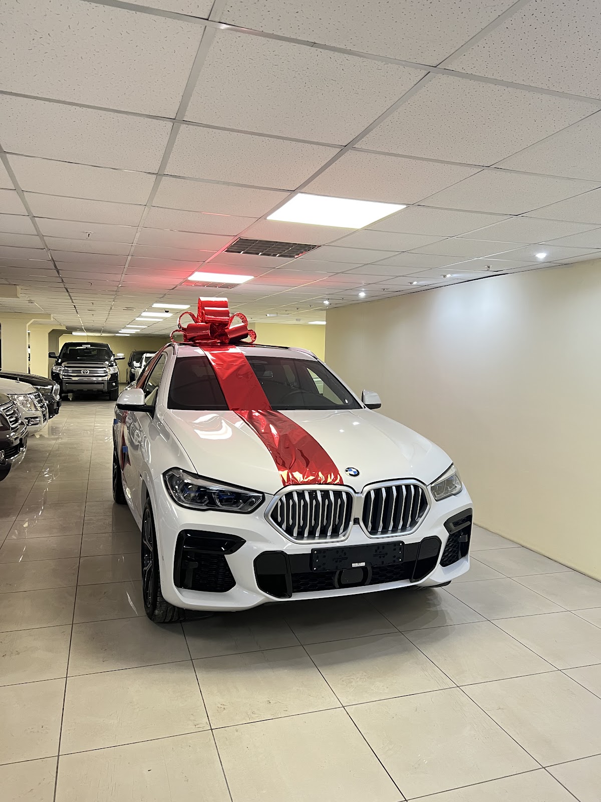 Портфолио: Украшение авто