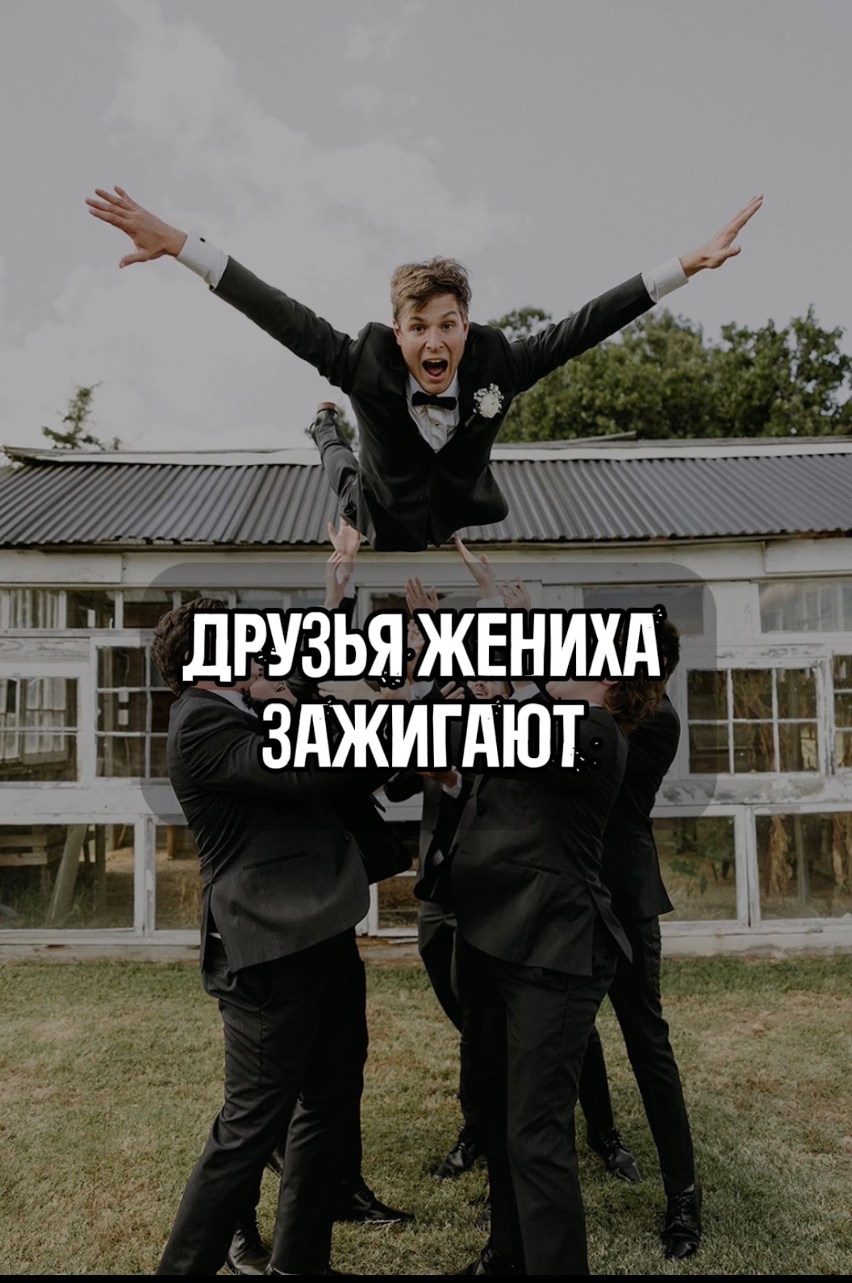 Чисто посмеяться:)