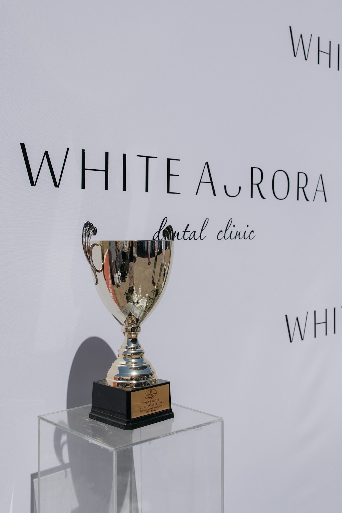 Корпоратив компании White avrora