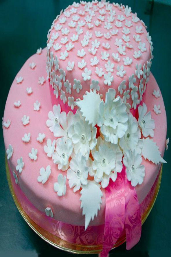 E.M.Cake