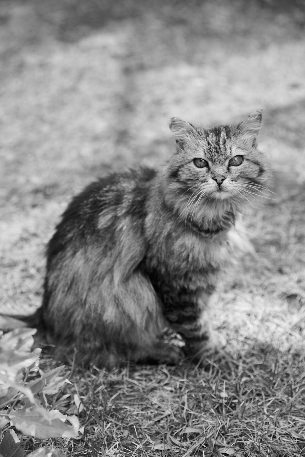 Марина и Юрий