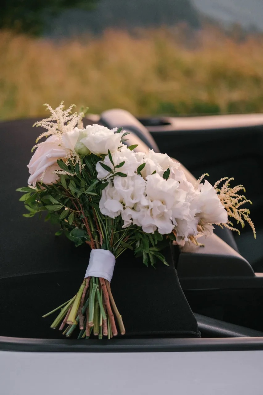 Фотографии