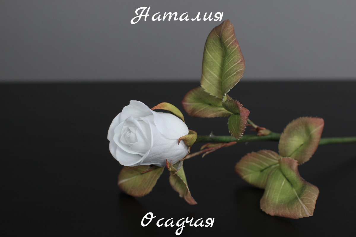 Кадр 31 из 103