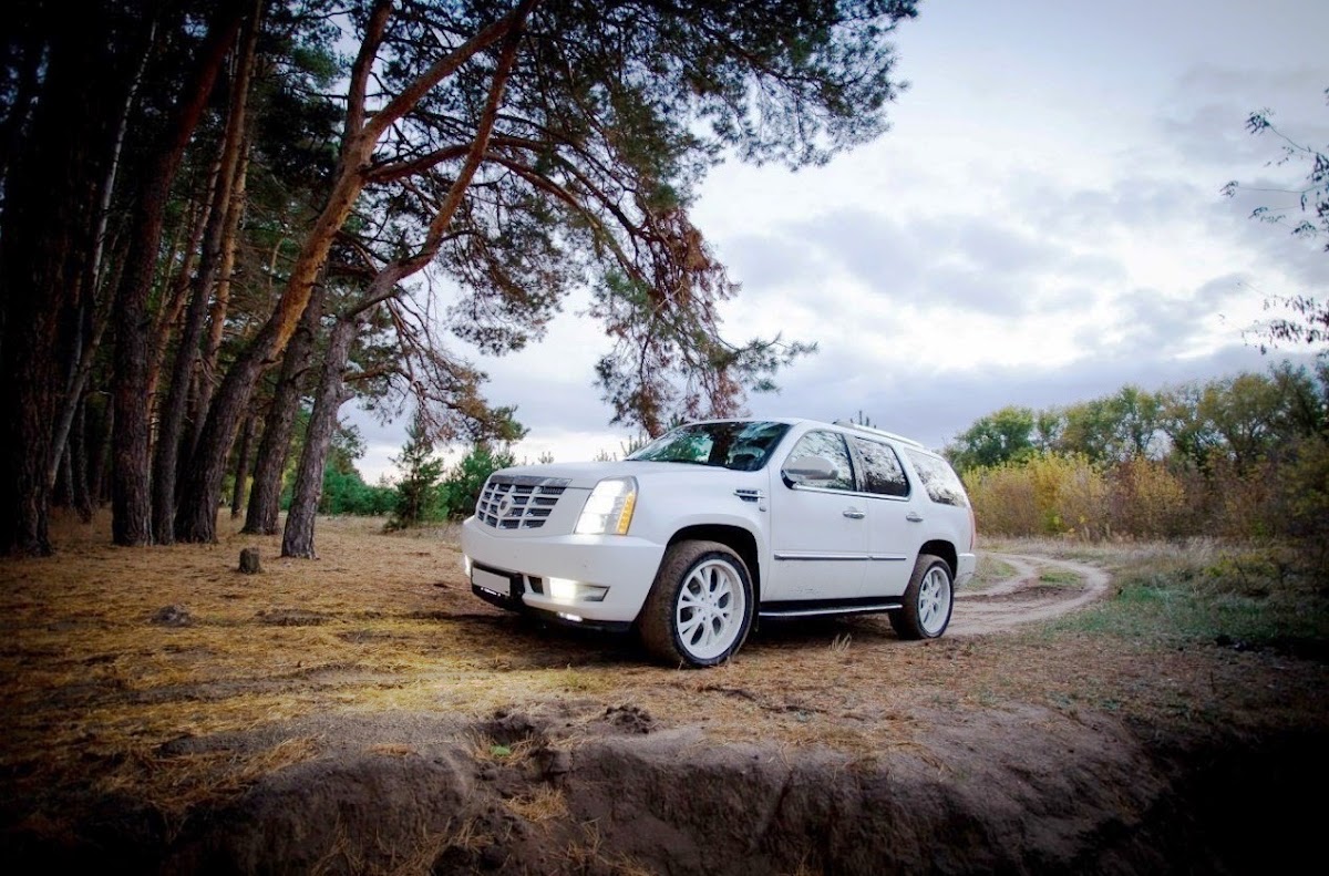 Escalade 7 Mest Vip — кадр 3 из 5