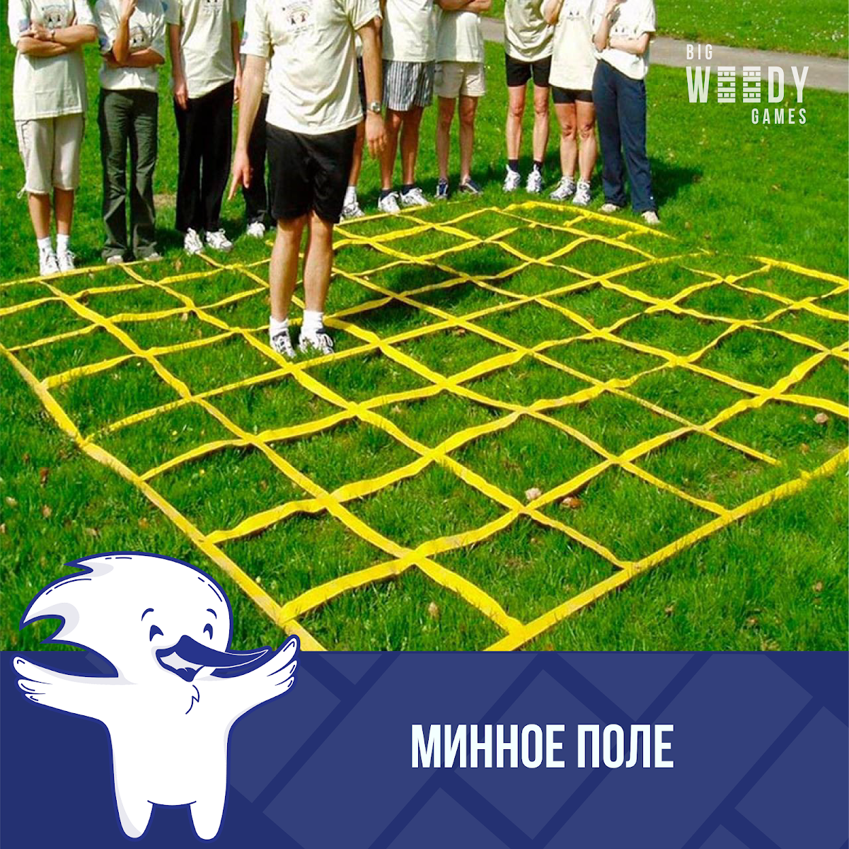 Портфолио
