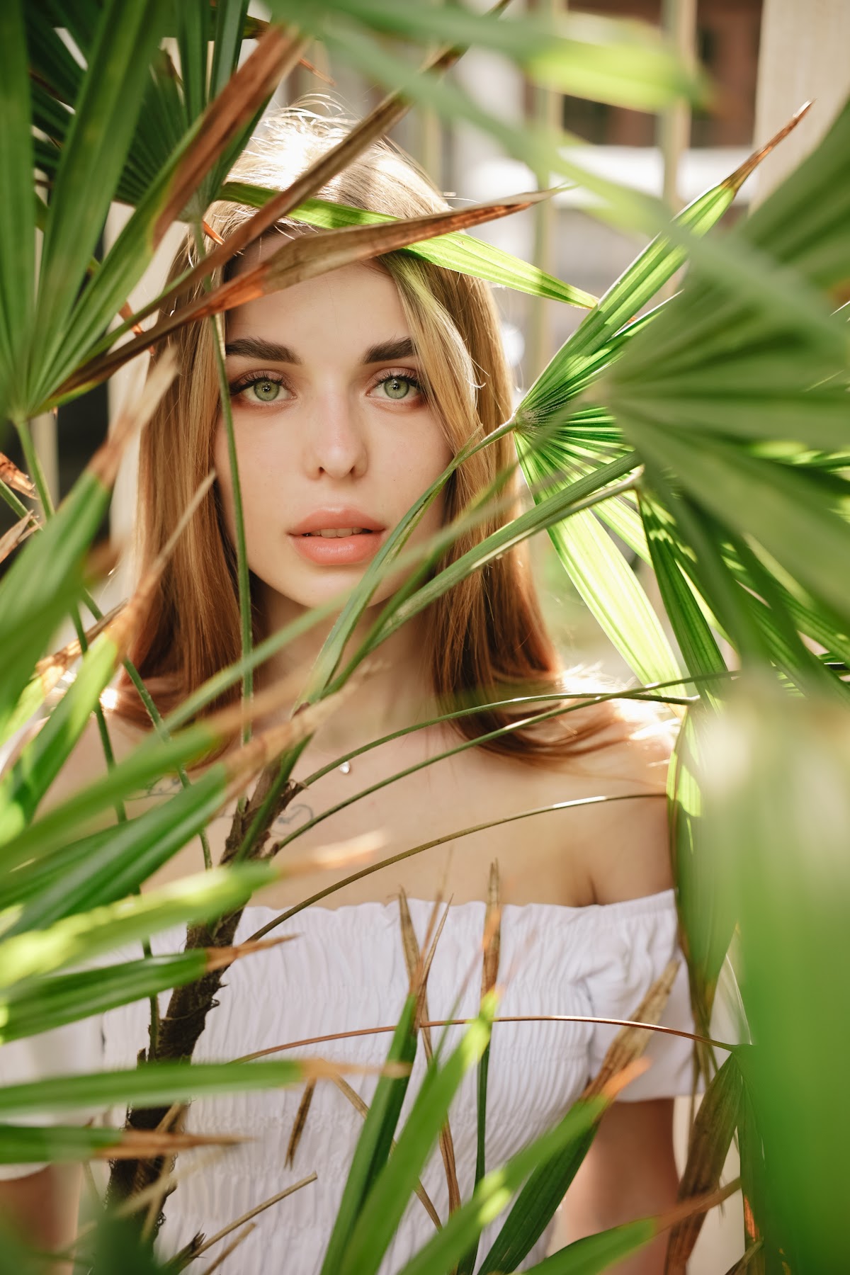 Портфолио: Мода (Fashion)