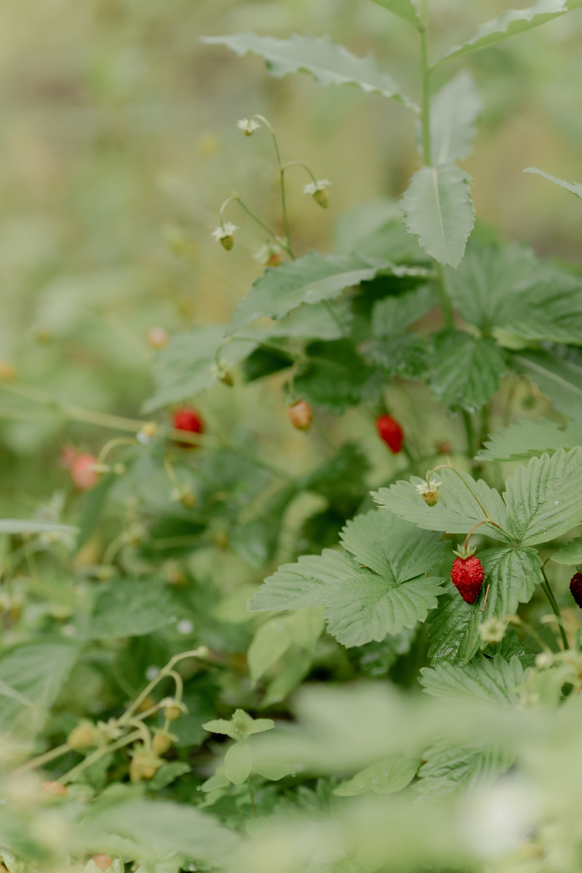 Фотогалерея ресторана