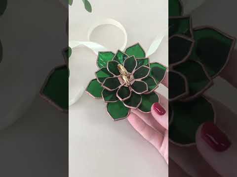Суккуленты