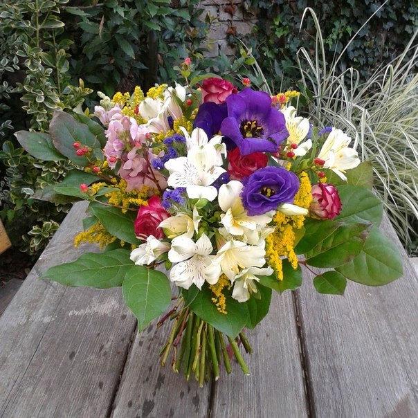 Floraison