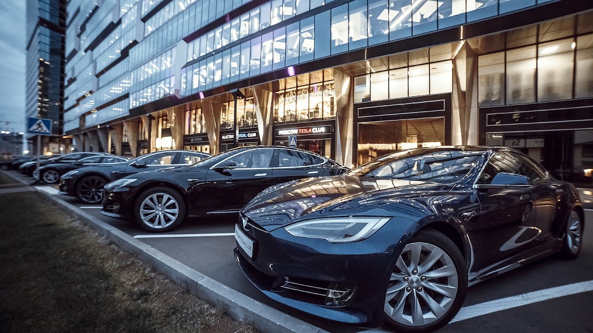 Terrine
