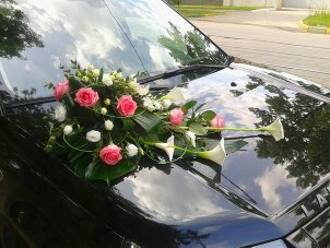наши работы