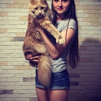 Наталья Мастицкая