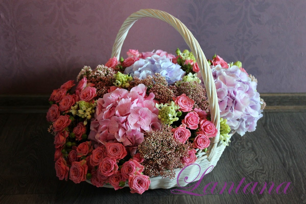 Lantana — кадр 5 из 17