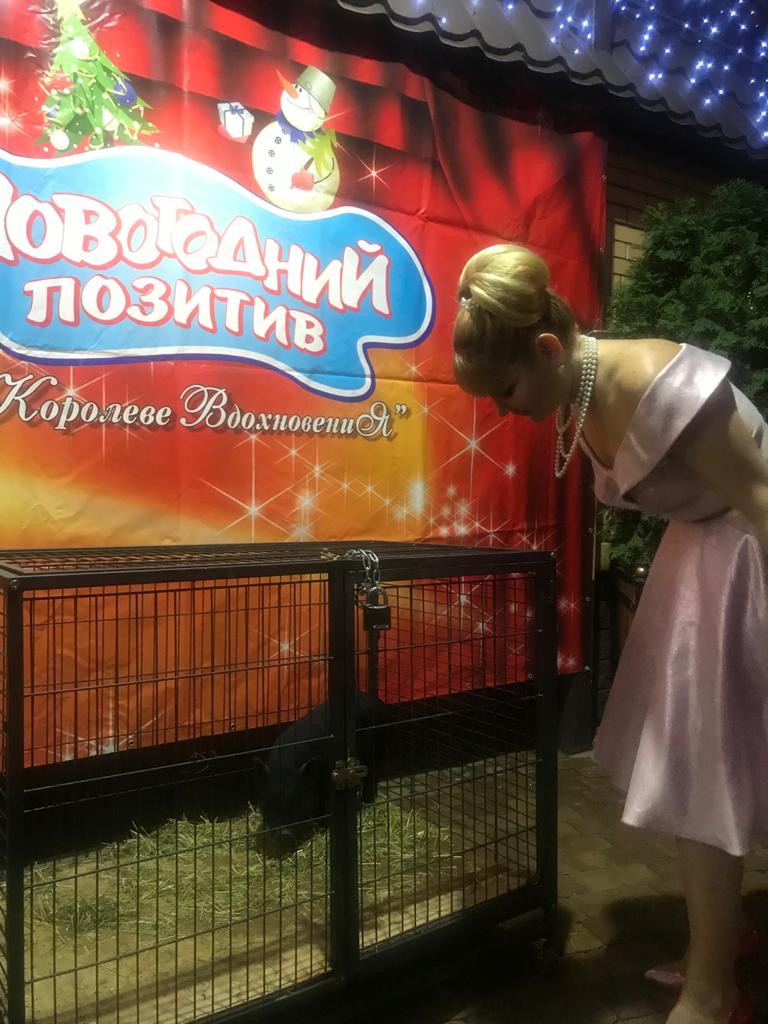 Корпаратив и Корпаратив