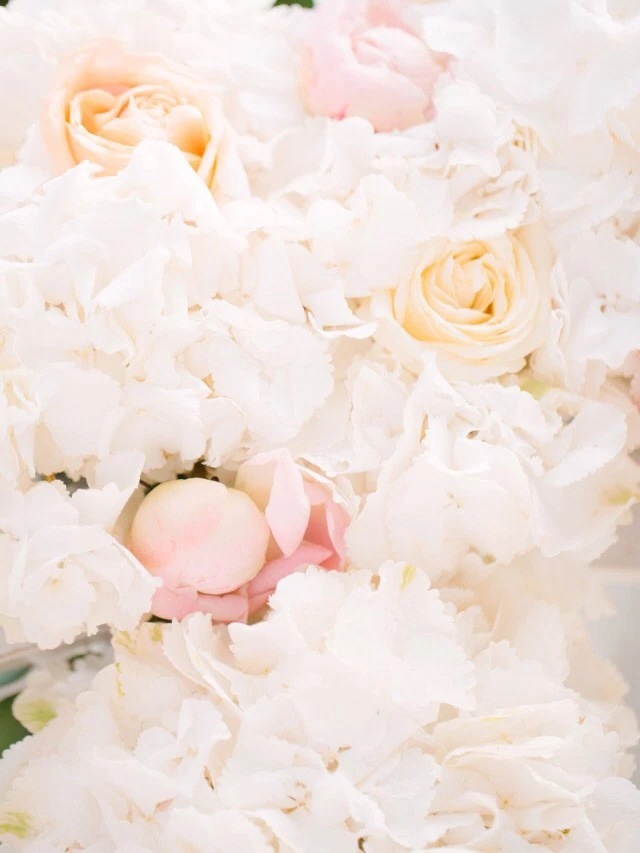 AZ'ART Wedding
