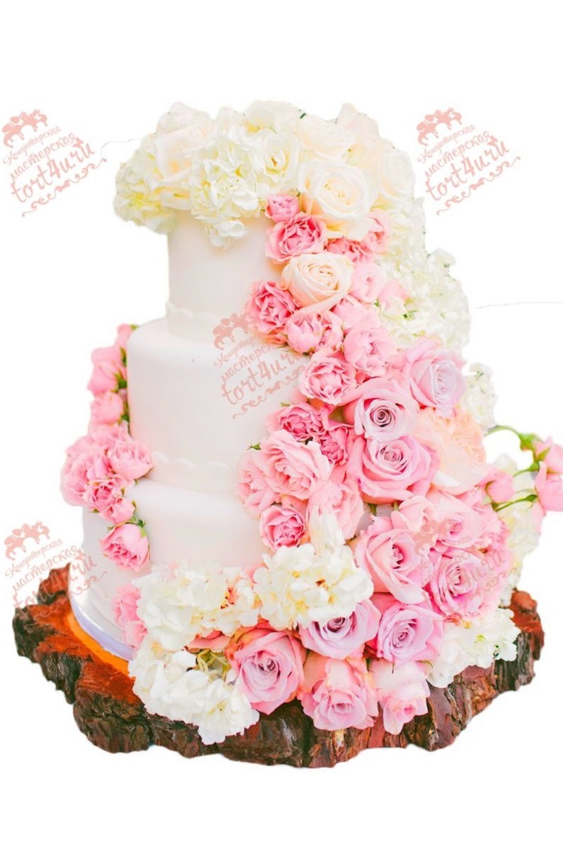 Tort4u, кондитерская мастерская