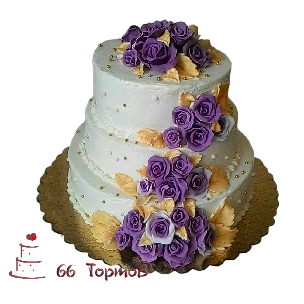 Портфолио