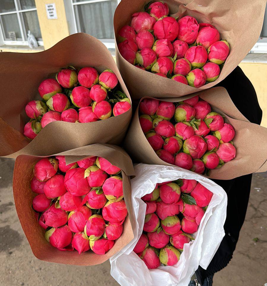 Портфолио